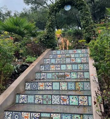 Tile stair risers in Little creek