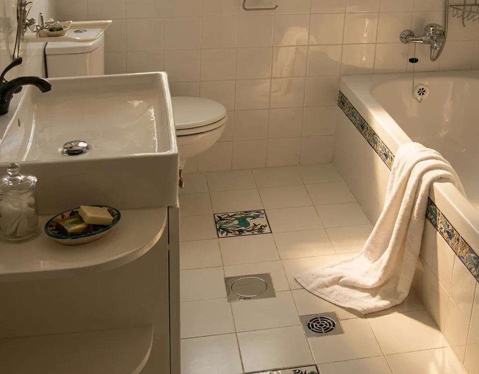 Two accent tiles on the bathroom floor by a band of hand painted Balian subway tiles